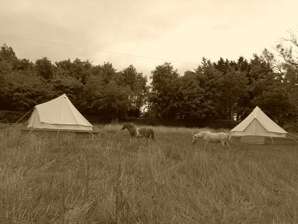 Ferry House Holidays New Ross Ruang foto